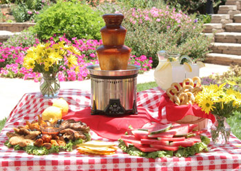 bbq fountain Barbecue Sauce